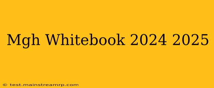 Mgh Whitebook 2024 2025