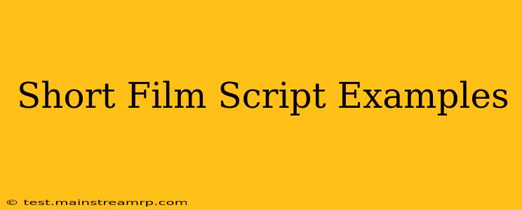 Short Film Script Examples