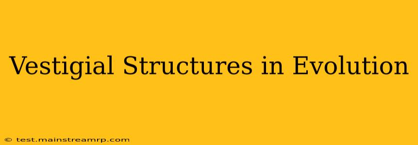 Vestigial Structures in Evolution